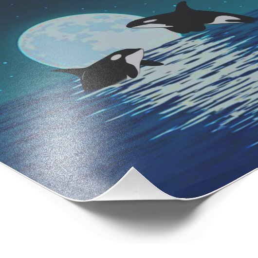 Impression Photo Orca Killer Whale Moonlight (Coin)