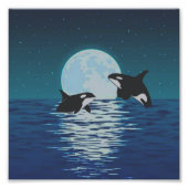 Impression Photo Orca Killer Whale Moonlight (Devant)