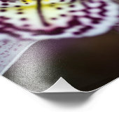 Impression Photo Orchid de Purple et White (Coin)