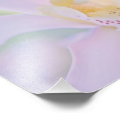 Impression Photo Orchid Pastel (Coin)