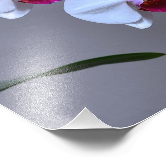 Impression Photo Orchidée (Coin)