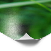 Impression Photo Orchidée (Coin)