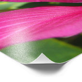 Impression Photo Orchidée Fleurie tropicale Florale (Coin)