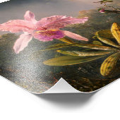 Impression Photo Orchidée rose et trois colibris (Coin)