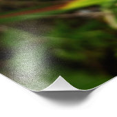 Impression Photo Orchidée sauvage violette Fleur tropicale (Coin)