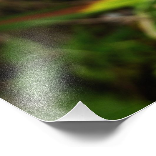 Impression Photo Orchidée sauvage violette Fleur tropicale (Coin)