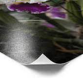 Impression Photo Orchidées 14"x11" (Coin)