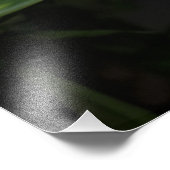 Impression Photo Orchidées blanches 36"x24" (Coin)