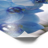 Impression Photo Orchidées bleues (Coin)