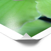 Impression Photo Orchidées Cymbidium Vert (Coin)