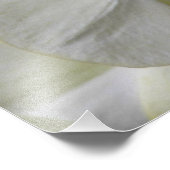 Impression Photo Orchidées de Phalaenopsis jaune pâle Floral (Coin)