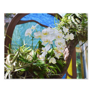 Impression Photo Orchidées d'été