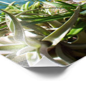 Impression Photo Orchidées d'été (Coin)