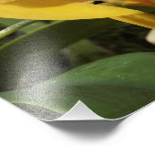 Impression Photo Orchidées dorées 19"x13" (Coin)