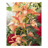 Impression Photo Orchidées et chrysanthèmes rouges Floral (Devant)