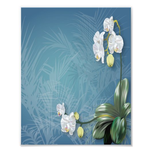 Impression Photo Orchidées et fougères (Devant)