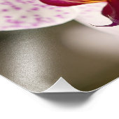 Impression Photo Orchidées par Shirley Taylor (Coin)