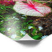 Impression Photo Oreille de l'éléphant (Coin)