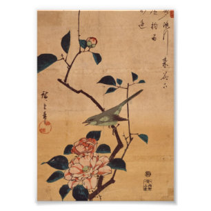 Impression Photo Oriental Camellia et Paruline