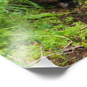 Impression Photo Otter (Coin)