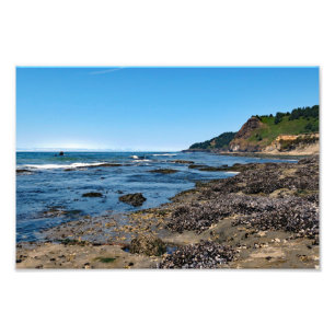 Impression Photo Otter Crest Beach Oregon