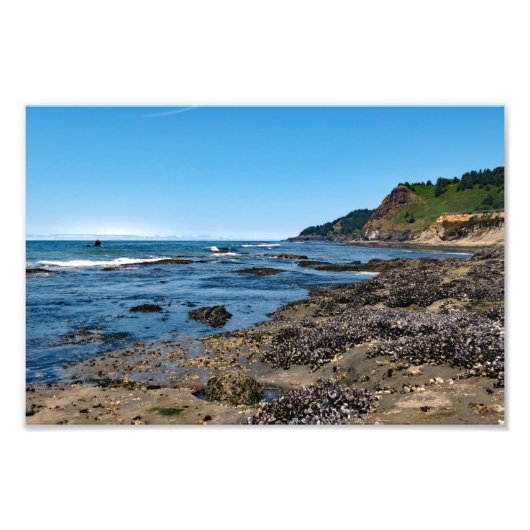 Impression Photo Otter Crest Beach Oregon (Devant)