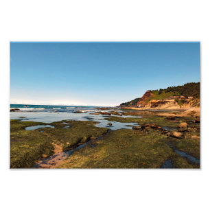 Impression Photo Otter Crest Beach Oregon