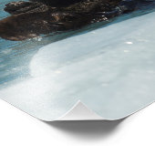 Impression Photo Otter flottante (Coin)