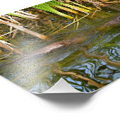 Impression Photo Otter Oriental à petites griffes nageant (Coin)