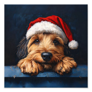 Impression Photo Otterhound Dans Un Chapeau De Père Noël