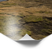 Impression Photo OU, Côte de l'Oregon, Parc d'état Ecola, vue (Coin)