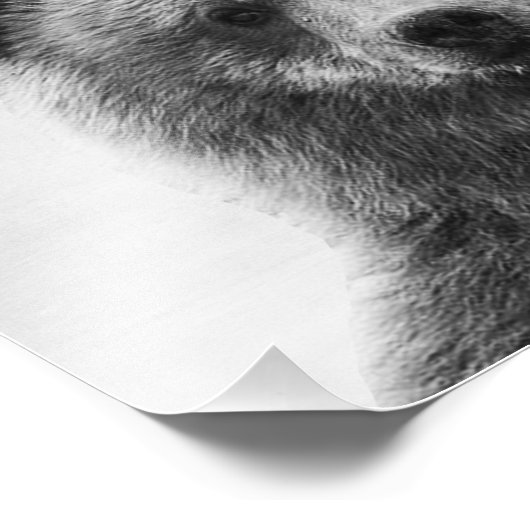 Impression Photo Ours (Coin)