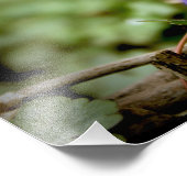 Impression Photo Ours bleu (Coin)