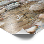 Impression Photo Ours Brown dans le ruisseau (Coin)