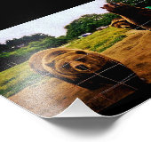 Impression Photo Ours conviviaux (Coin)