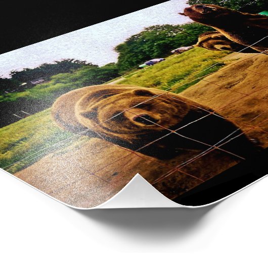 Impression Photo Ours conviviaux (Coin)