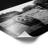 Impression Photo Ours conviviaux (Coin)