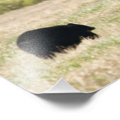 Impression Photo Ours et petits (Coin)