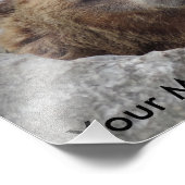 Impression Photo Ours kodiak (Coin)