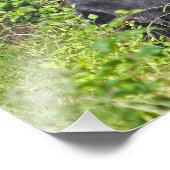 Impression Photo Ours noir debout (Coin)