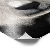 Impression Photo Ours Panda (Coin)