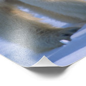 Impression Photo Ours polaire féminin debout avec 2 Cubs (Coin)