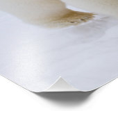 Impression Photo ours polaire, Ursus maritimus, sur glace et neige, (Coin)