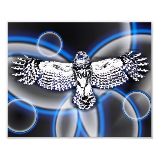 Impression Photo Owl (Devant)