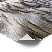 IMPRESSION PHOTO OWLS (Coin)