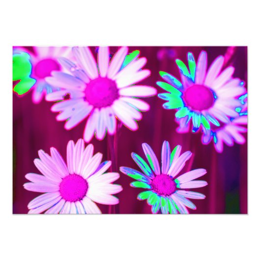 Impression Photo Oxeye Daisy Meadow Pop Art Style (Devant)