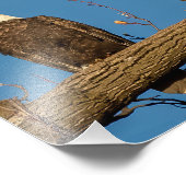 Impression Photo Pa Et Ma Eagle (Coin)