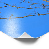 Impression Photo Paire d'aigle à tête blanche dans l'arbre (Coin)