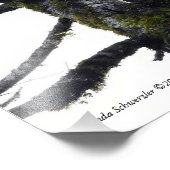 Impression Photo Paire d'aigle S'amuser ! (Coin)