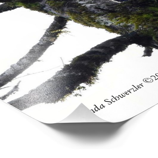 Impression Photo Paire d'aigle S'amuser ! (Coin)